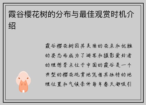 霞谷樱花树的分布与最佳观赏时机介绍